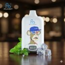 Fumot 12000 Cool Mint Einweg Vape – 12.000 Züge Menthol